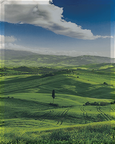 GESTIÓN AMBIENTAL Y SST